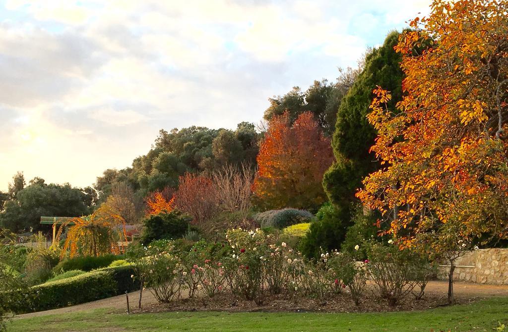 The Garden Cottage At The Olives Yankalilla Екстер'єр фото
